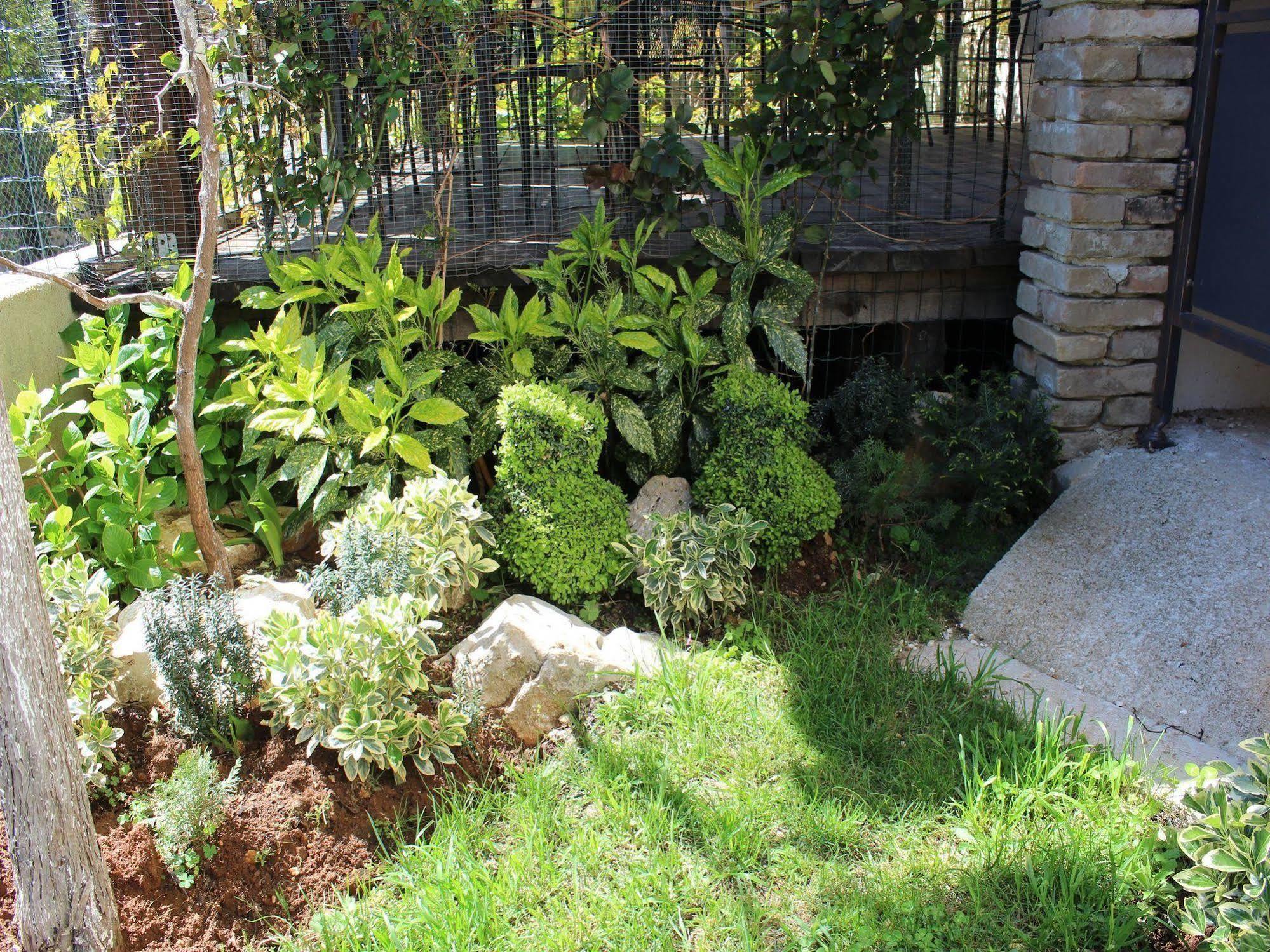 Rooms And Apartment Feral Rovinj Ngoại thất bức ảnh